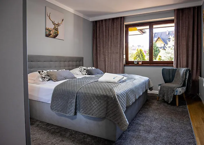 Apartament Visitzakopane - Szarotka Zakopane